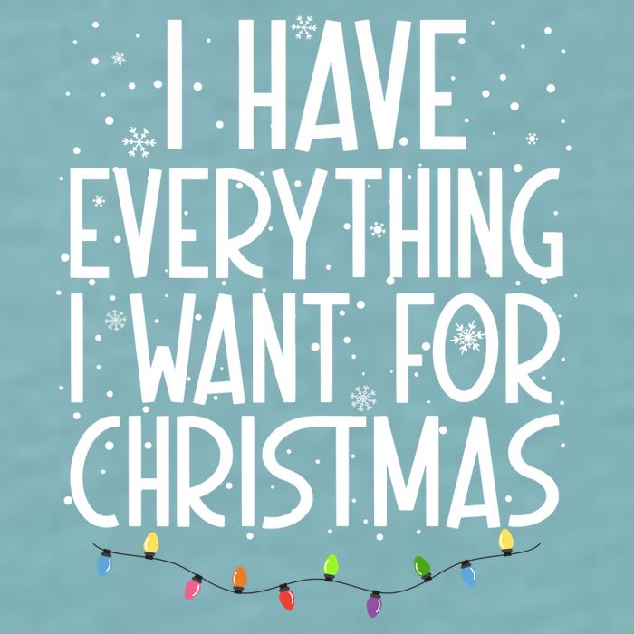 I Have Everything I Want For Christmas Festive Sueded Cloud Jersey T-Shirt