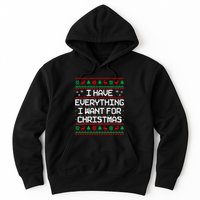 I Have Everything I Want For Christmas Couples Matching Hoodie