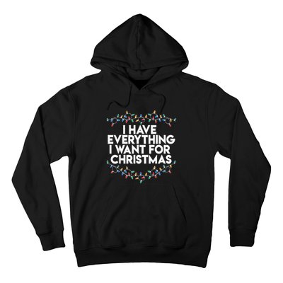 I Have Everything I Want For Christmas Funny Xmas Couples Hoodie