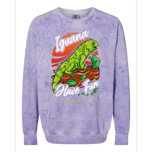 Iguana Have Fun Cozumel Mexico Colorblast Crewneck Sweatshirt