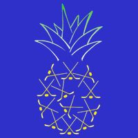 Ice Hockey Funny Pineapple Hawaii For Hockey Player Poster