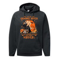 IM He Grammy Witch ItS Like A Normal Grandma Witch Broom Performance Fleece Hoodie