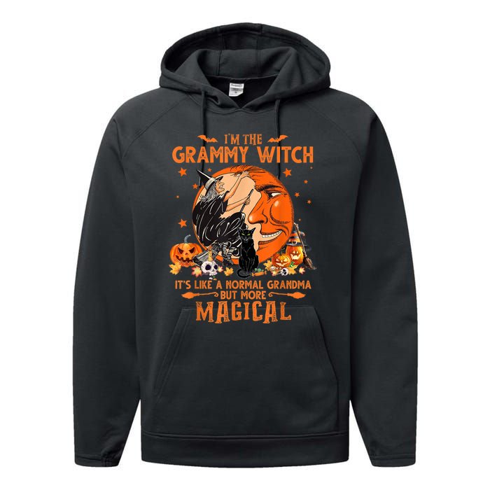 IM He Grammy Witch ItS Like A Normal Grandma Witch Broom Performance Fleece Hoodie