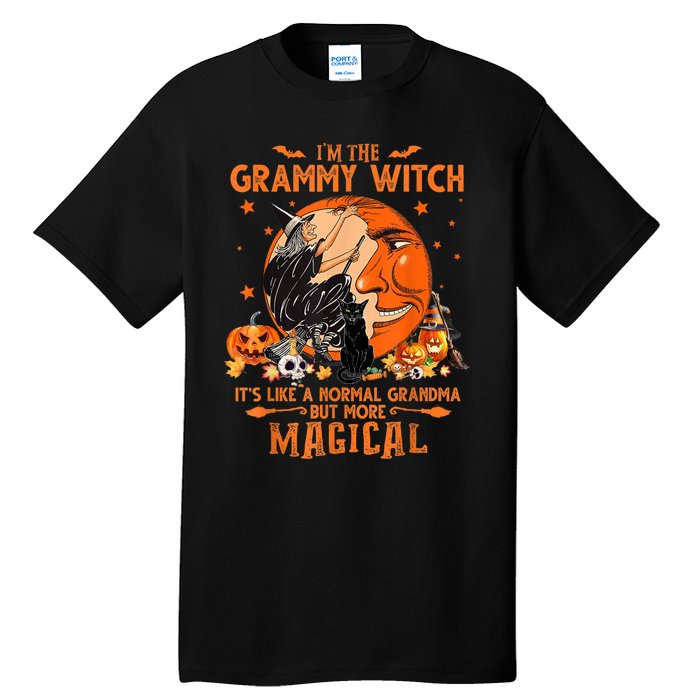 IM He Grammy Witch ItS Like A Normal Grandma Witch Broom Tall T-Shirt