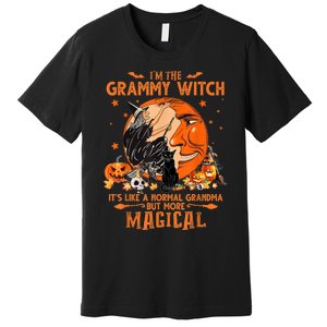 IM He Grammy Witch ItS Like A Normal Grandma Witch Broom Premium T-Shirt