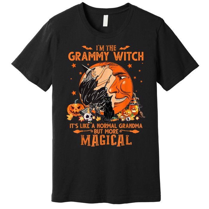 IM He Grammy Witch ItS Like A Normal Grandma Witch Broom Premium T-Shirt