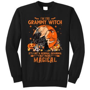 IM He Grammy Witch ItS Like A Normal Grandma Witch Broom Tall Sweatshirt