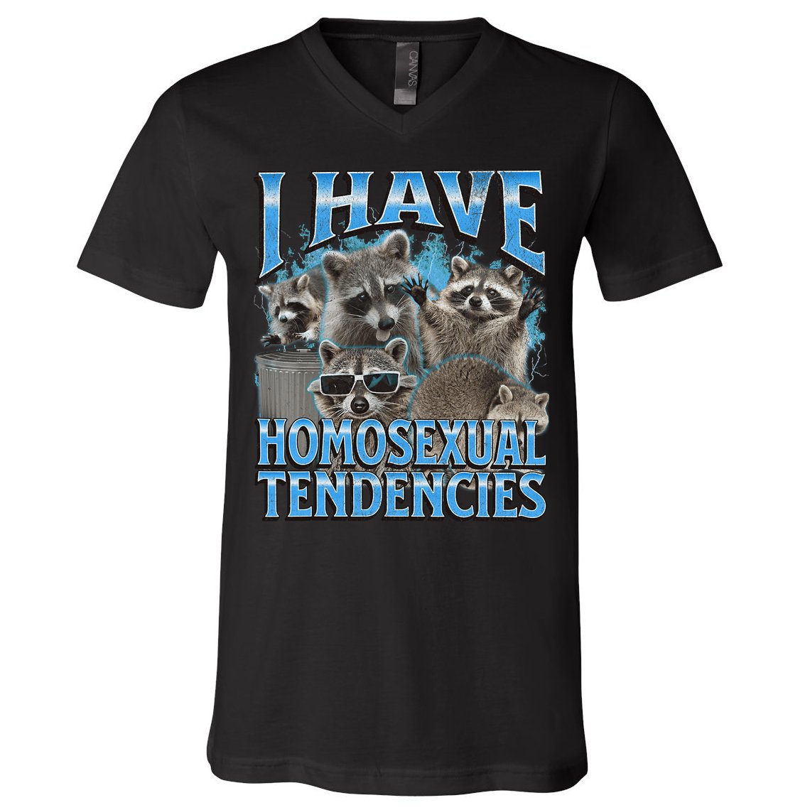 I Have Homosexual Tendencies Funny Raccoon Meme Bootleg V-Neck T-Shirt