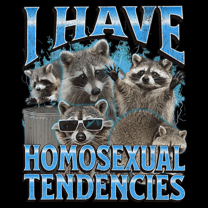 I Have Homosexual Tendencies Funny Raccoon Meme Bootleg 16 in Basic Backpack