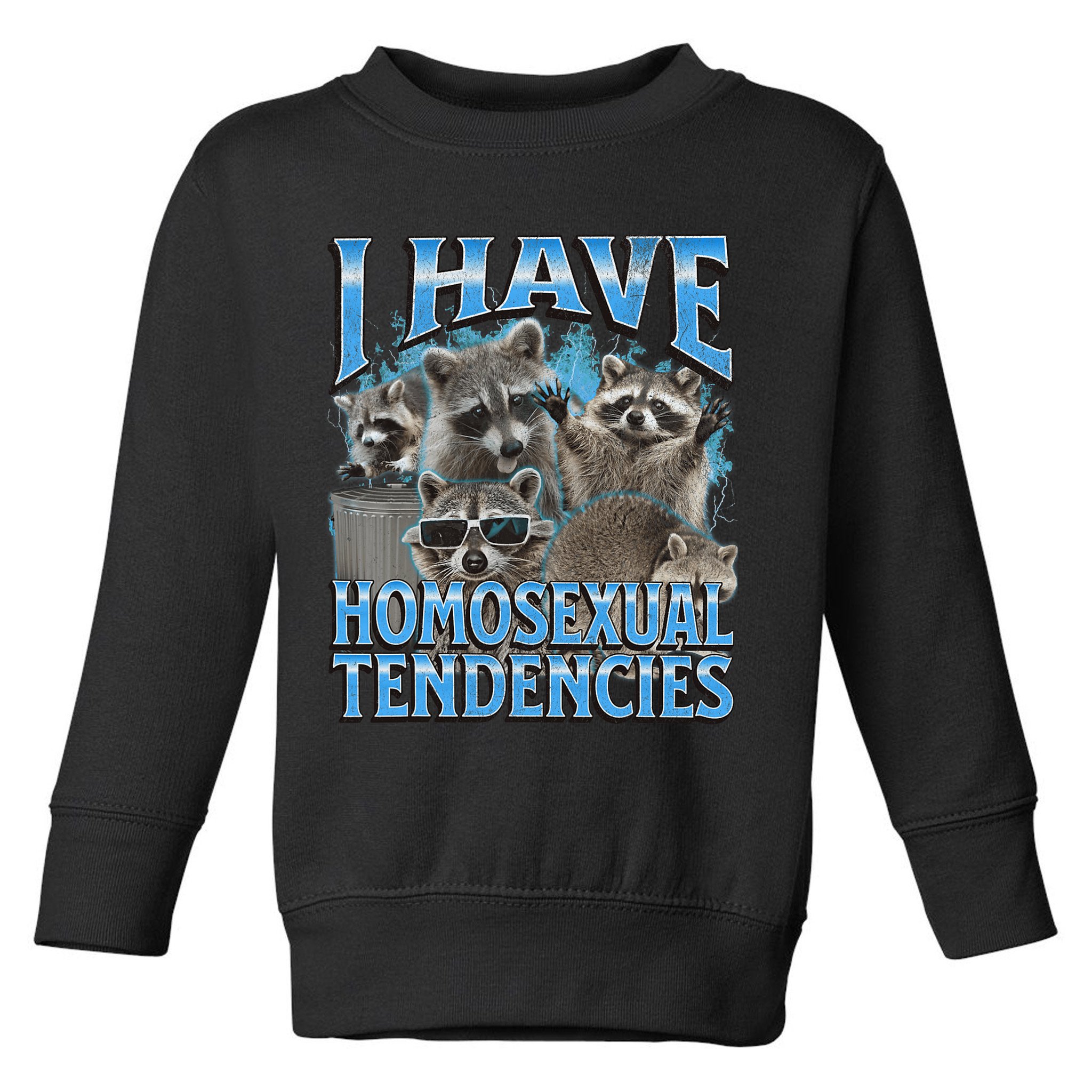 I Have Homosexual Tendencies Funny Raccoon Meme Bootleg Toddler Sweatshirt