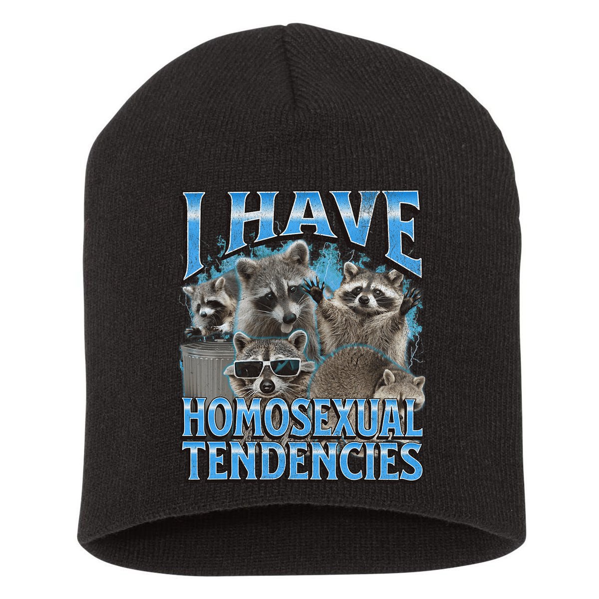 I Have Homosexual Tendencies Funny Raccoon Meme Bootleg Short Acrylic Beanie