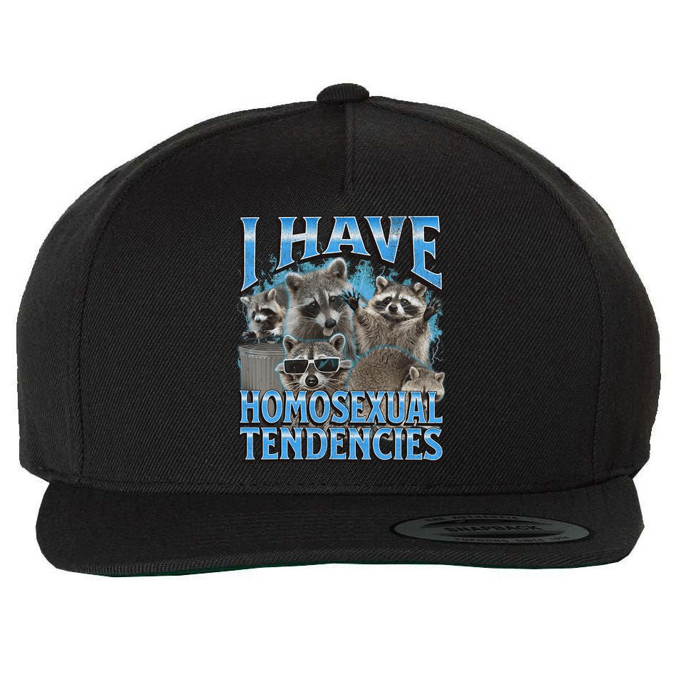 I Have Homosexual Tendencies Funny Raccoon Meme Bootleg Wool Snapback Cap