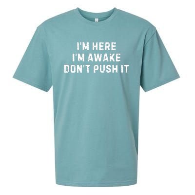 IM Here IM Awake DonT Push It Sueded Cloud Jersey T-Shirt