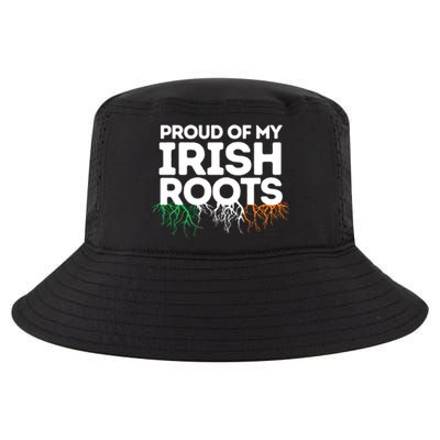 Irish Heritage Ireland Flag Proud Of My Irish Roots Gift Cool Comfort Performance Bucket Hat