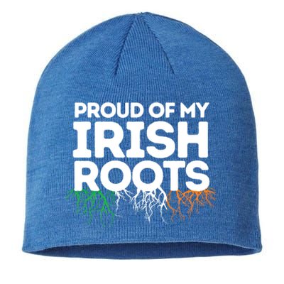 Irish Heritage Ireland Flag Proud Of My Irish Roots Gift Sustainable Beanie