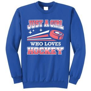 Ice Hockey Just A Who Loves Hockey Ice Hockey Gift Sweatshirt