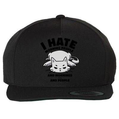 I Hate Mornings And People Funny Cat Wool Snapback Cap