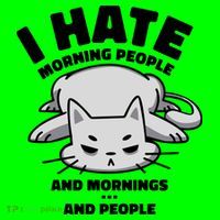 I Hate Mornings And People Funny Cat Ladies Essential Flowy Tank