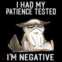 I Had My Patience Tested I'm Negative Cat Funny Sarcasm Hooded Wearable Blanket