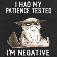 I Had My Patience Tested I'm Negative Cat Funny Sarcasm 25L Jumbo Tote