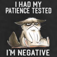 I Had My Patience Tested I'm Negative Cat Funny Sarcasm Hat