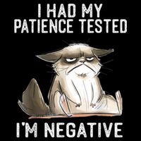 I Had My Patience Tested I'm Negative Cat Funny Sarcasm Kids T-Shirt