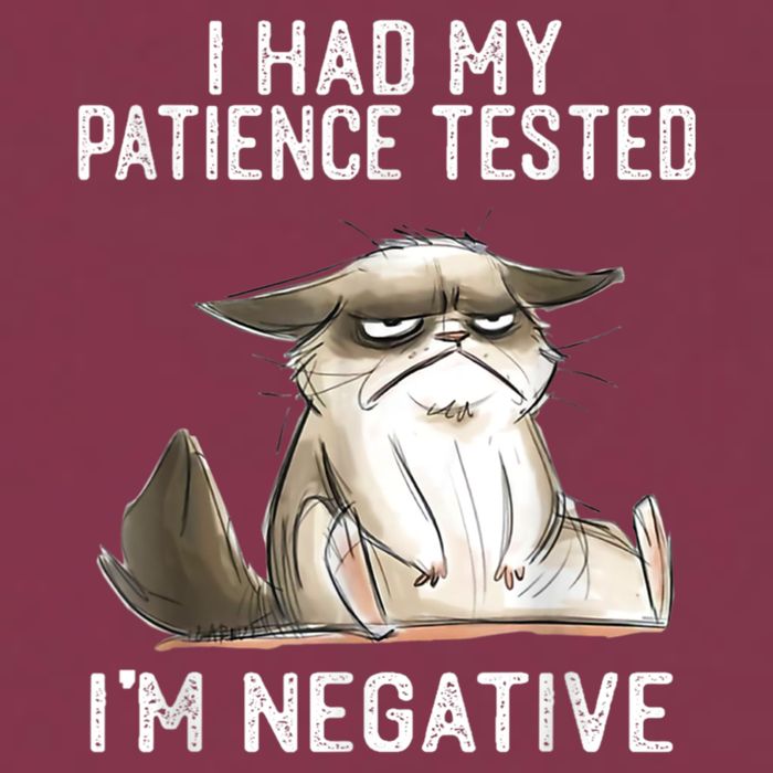 I Had My Patience Tested I'm Negative Cat Funny Sarcasm 16oz Travel Tumbler