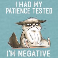 I Had My Patience Tested I'm Negative Cat Funny Sarcasm Sueded Cloud Jersey T-Shirt