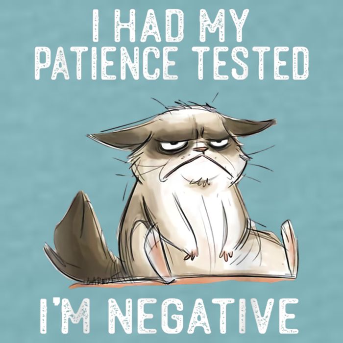 I Had My Patience Tested I'm Negative Cat Funny Sarcasm Sueded Cloud Jersey T-Shirt