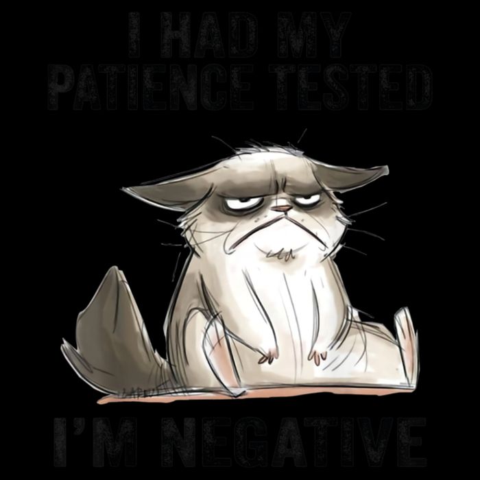I Had My Patience Tested I'm Negative Cat Funny Sarcasm 16oz Travel Tumbler