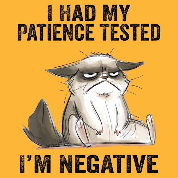 I Had My Patience Tested I'm Negative Cat Funny Sarcasm Sustainable Knit Beanie