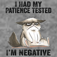 I Had My Patience Tested I'm Negative Cat Funny Sarcasm Tall Hoodie