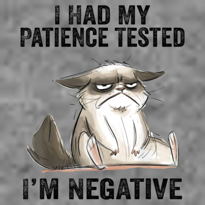 I Had My Patience Tested I'm Negative Cat Funny Sarcasm Tall Hoodie