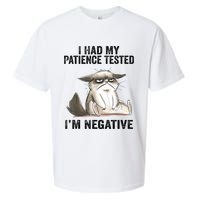 I Had My Patience Tested I'm Negative Cat Funny Sarcasm Sueded Cloud Jersey T-Shirt