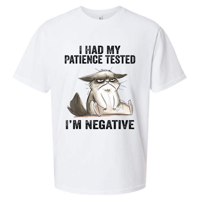 I Had My Patience Tested I'm Negative Cat Funny Sarcasm Sueded Cloud Jersey T-Shirt