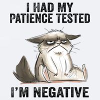 I Had My Patience Tested I'm Negative Cat Funny Sarcasm Sueded Cloud Jersey T-Shirt