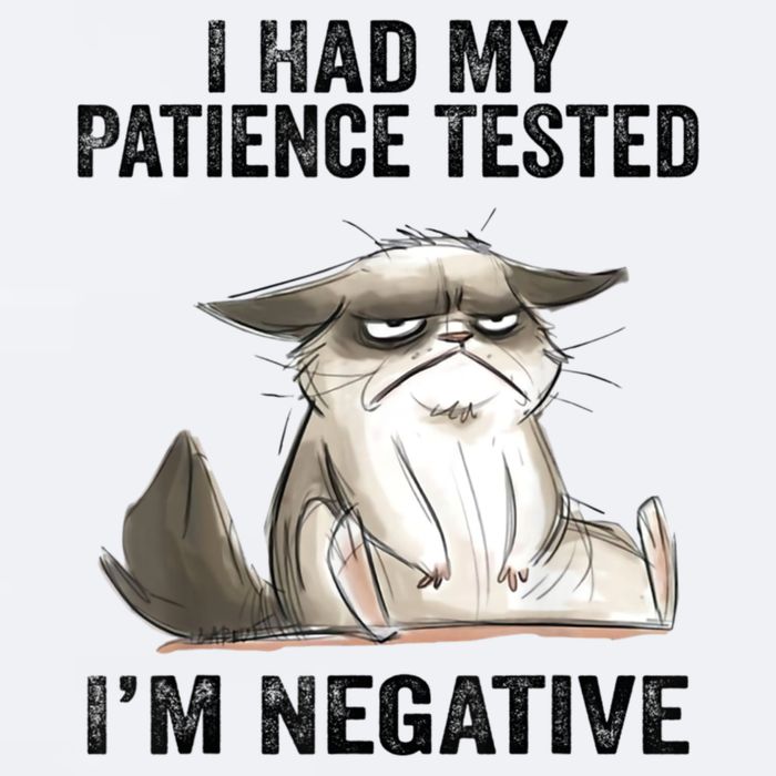 I Had My Patience Tested I'm Negative Cat Funny Sarcasm Sueded Cloud Jersey T-Shirt