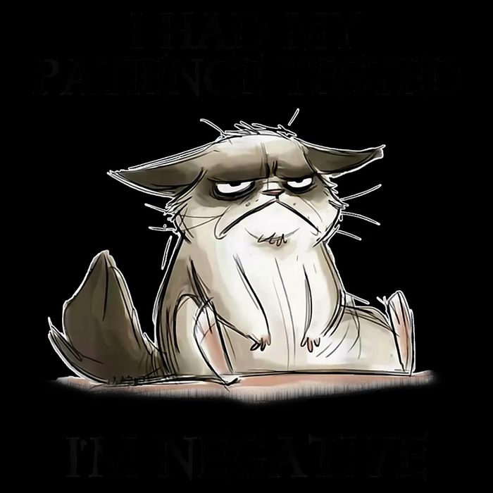 I Had My Patience Tested I'm Negative Cat Funny Daily Commute Backpack