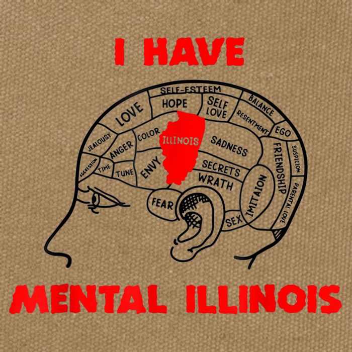 I Have Mental Illinois Funny Pun, Illinoisan Humor Cotton Canvas Backpack