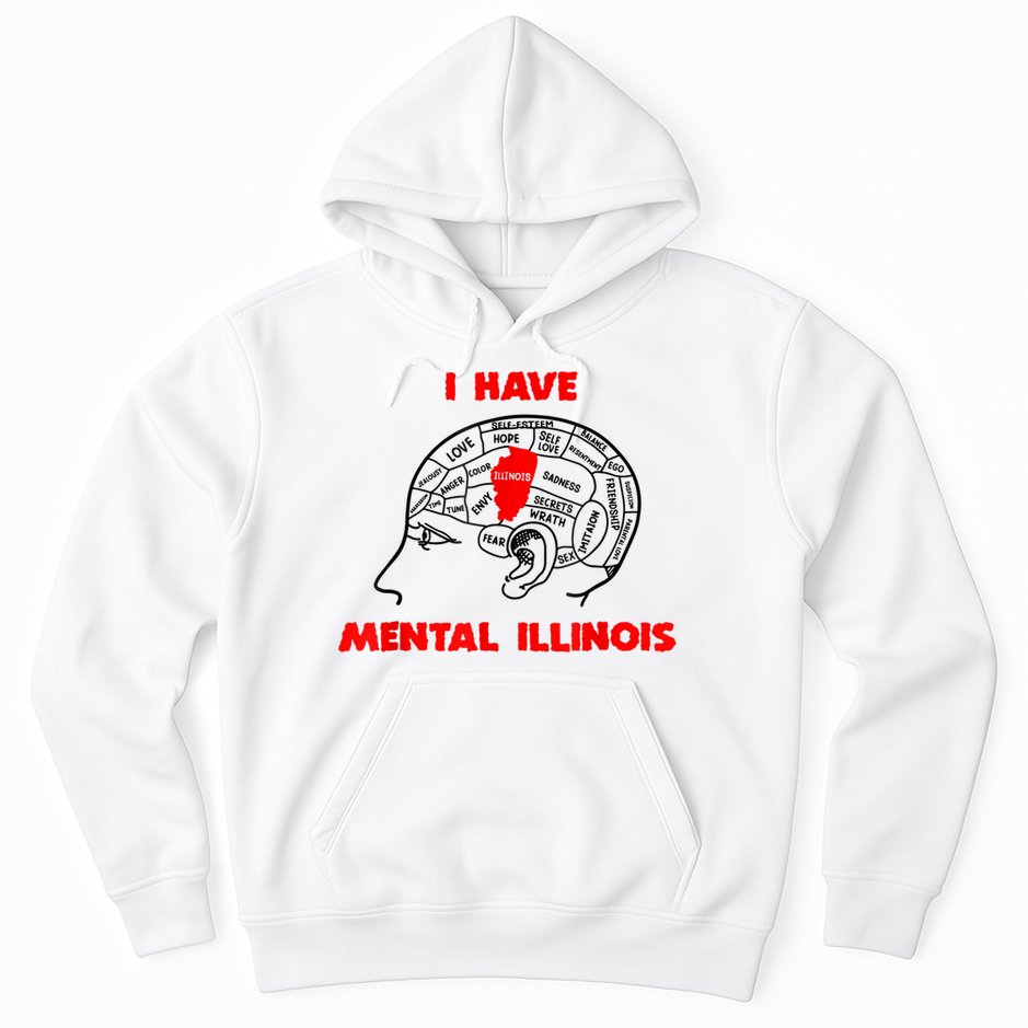 I Have Mental Illinois Funny Pun, Illinoisan Humor Hoodie
