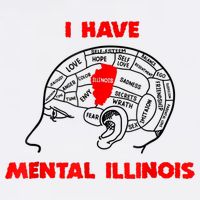I Have Mental Illinois Funny Pun, Illinoisan Humor Bucket Hat
