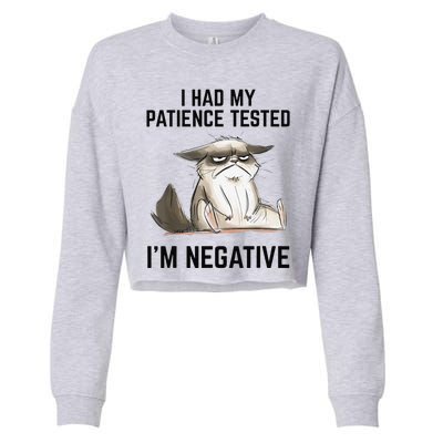 I Had My Patience Tested Im Negative Cat Funny Vintage Cropped Pullover Crew