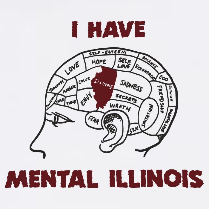 I Have Mental Illinois Mental Illness Mental Health Hoodie