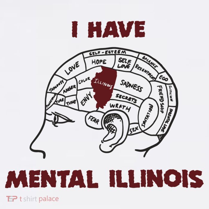 I Have Mental Illinois Mental Illness Mental Health T-Shirt