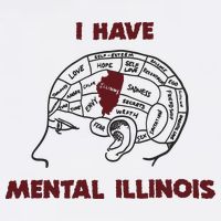 I Have Mental Illinois Mental Illness Mental Health Wool Snapback Cap