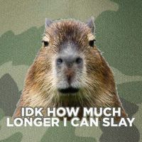 Idk How Much Longer I Can Slay Capybara Sarcastic Dank Meme Legacy Tie Dye Trucker Hat