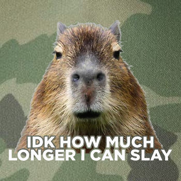 Idk How Much Longer I Can Slay Capybara Sarcastic Dank Meme Legacy Tie Dye Trucker Hat