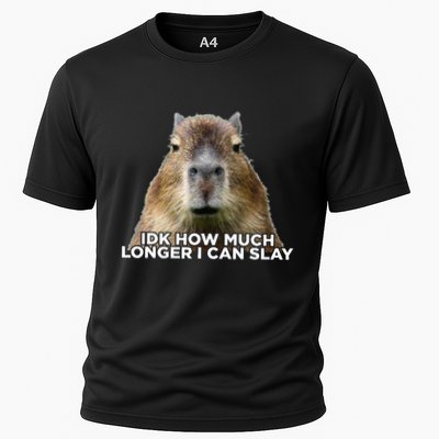 Idk How Much Longer I Can Slay Capybara Sarcastic Dank Meme Performance Shirt