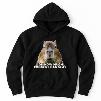 Idk How Much Longer I Can Slay Capybara Sarcastic Dank Meme Hoodie