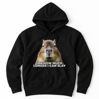 Idk How Much Longer I Can Slay Capybara Sarcastic Dank Meme Hoodie